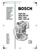 gof_900_ce_1200_1300_ce_rus