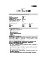 GBM16_2_Re_rus