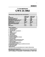 GWS24_300_j_rus